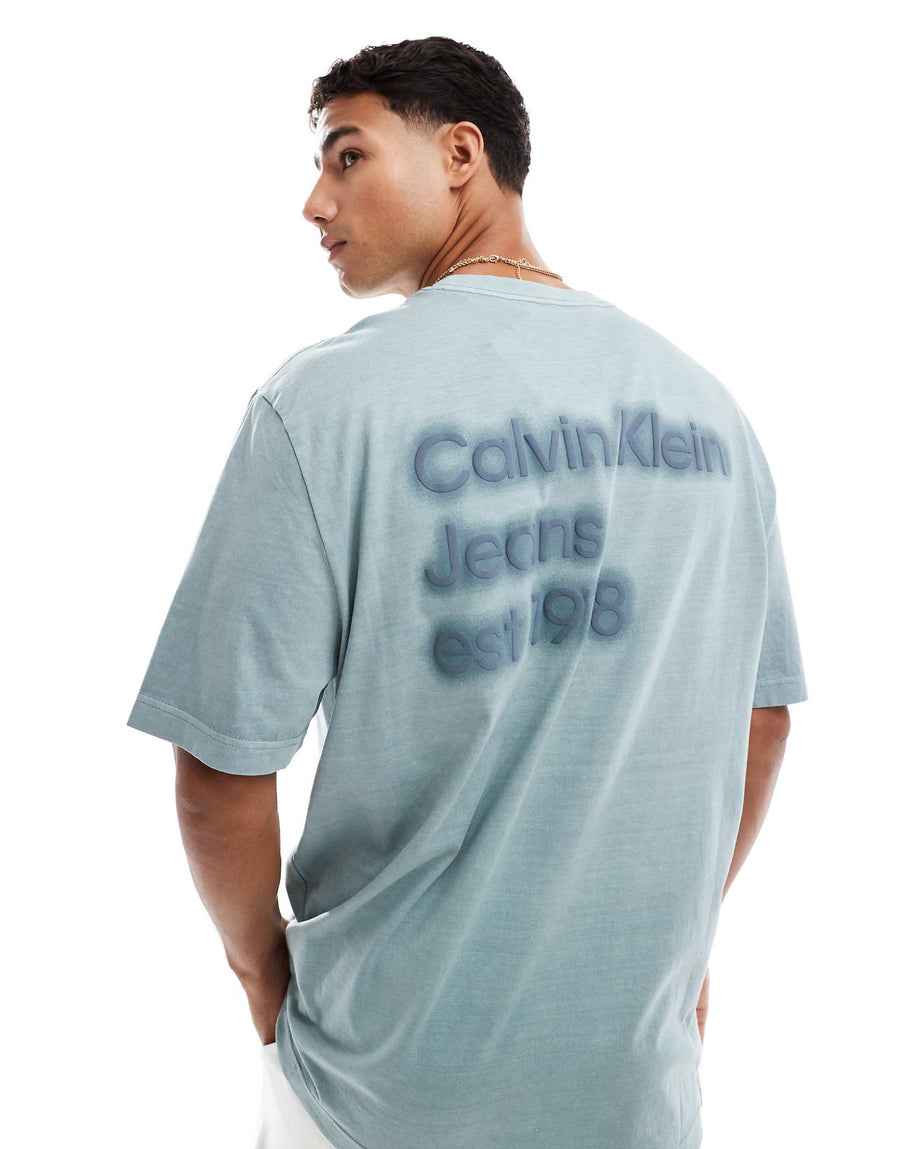 Calvin Klein Jeans - T-shirt color grigio slavato con logo stampato sul retro